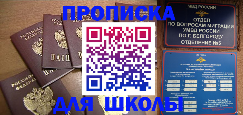 прописка гарантия в Гатчине